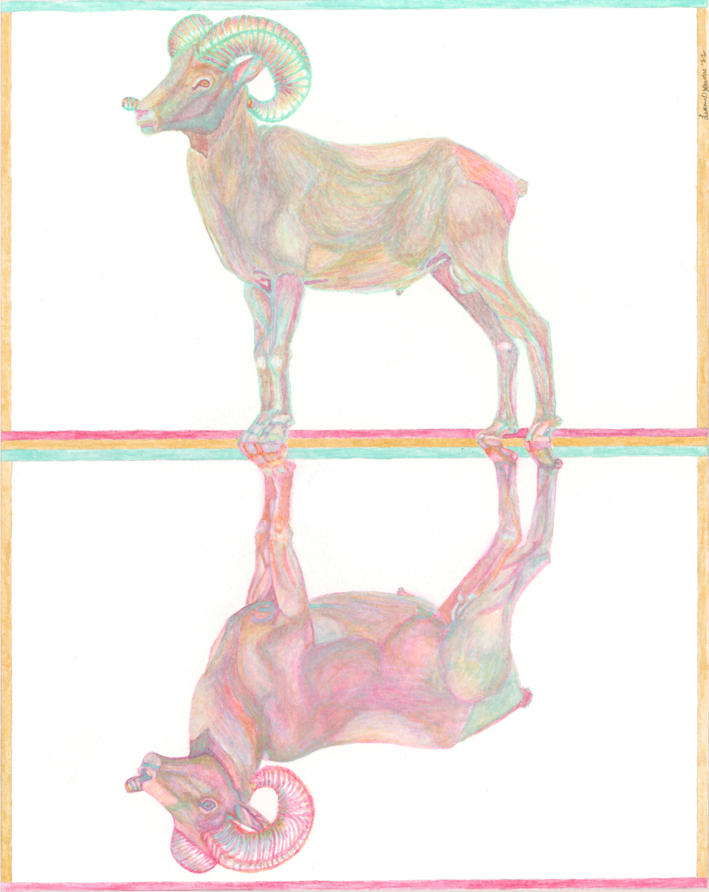 Big Horn Sheep Duality Series Original Watercolor