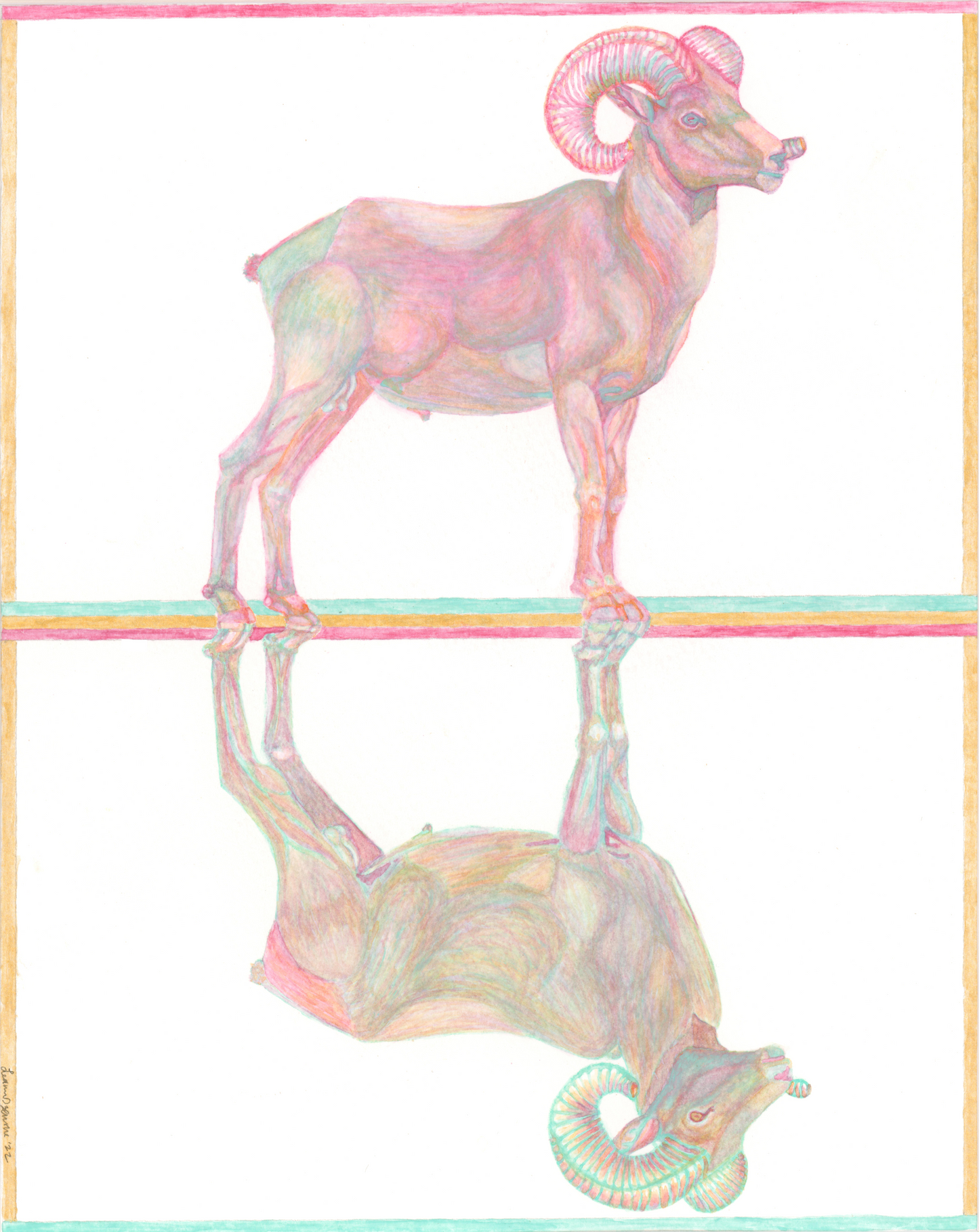 Big Horn Sheep Watercolor Limited Edition Prints